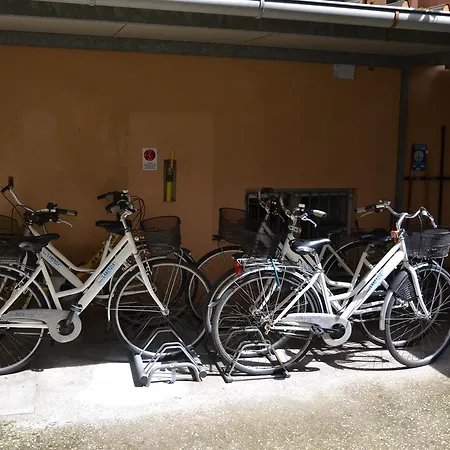Larenzia 3*